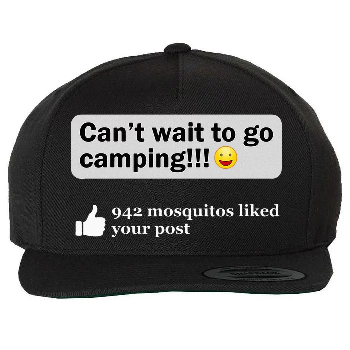 Funny Camping Saying Humor Outdoorsy Joke Camp Gear Gift Wool Snapback Cap