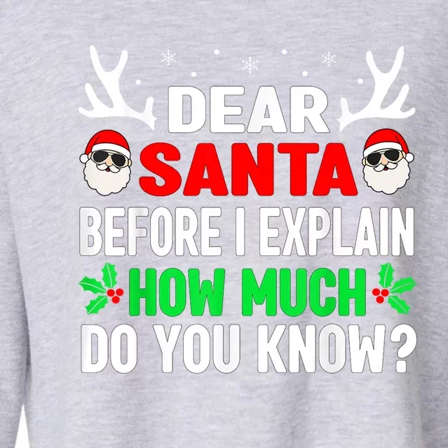 Funny Christmas Shirts Kids Adults Dear Santa I Can Explain Cropped Pullover Crew