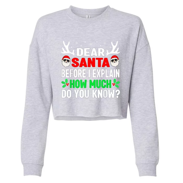 Funny Christmas Shirts Kids Adults Dear Santa I Can Explain Cropped Pullover Crew