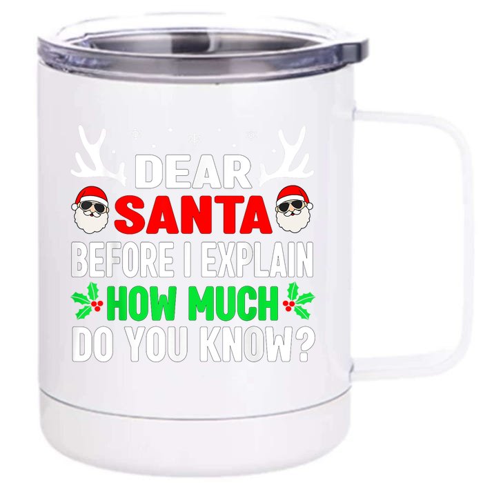 Funny Christmas Shirts Kids Adults Dear Santa I Can Explain Front & Back 12oz Stainless Steel Tumbler Cup