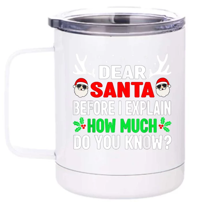 Funny Christmas Shirts Kids Adults Dear Santa I Can Explain Front & Back 12oz Stainless Steel Tumbler Cup