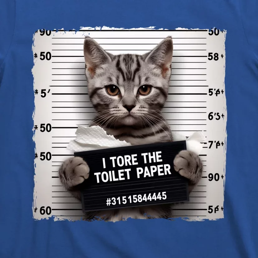 Funny Cat Sarcastic Kitten Animal Humor Cat Cool Gift T-Shirt