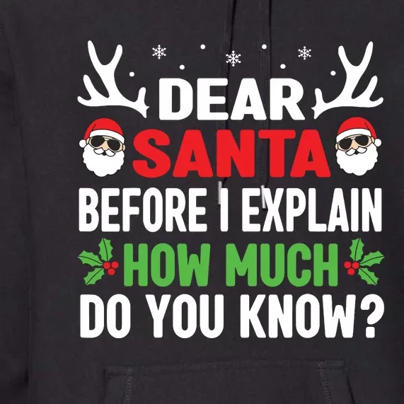 Funny Christmas Shirts Kids Adults Dear Santa I Can Explain Premium Hoodie