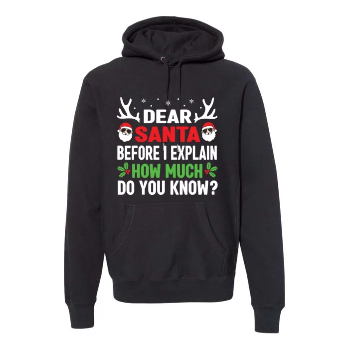 Funny Christmas Shirts Kids Adults Dear Santa I Can Explain Premium Hoodie