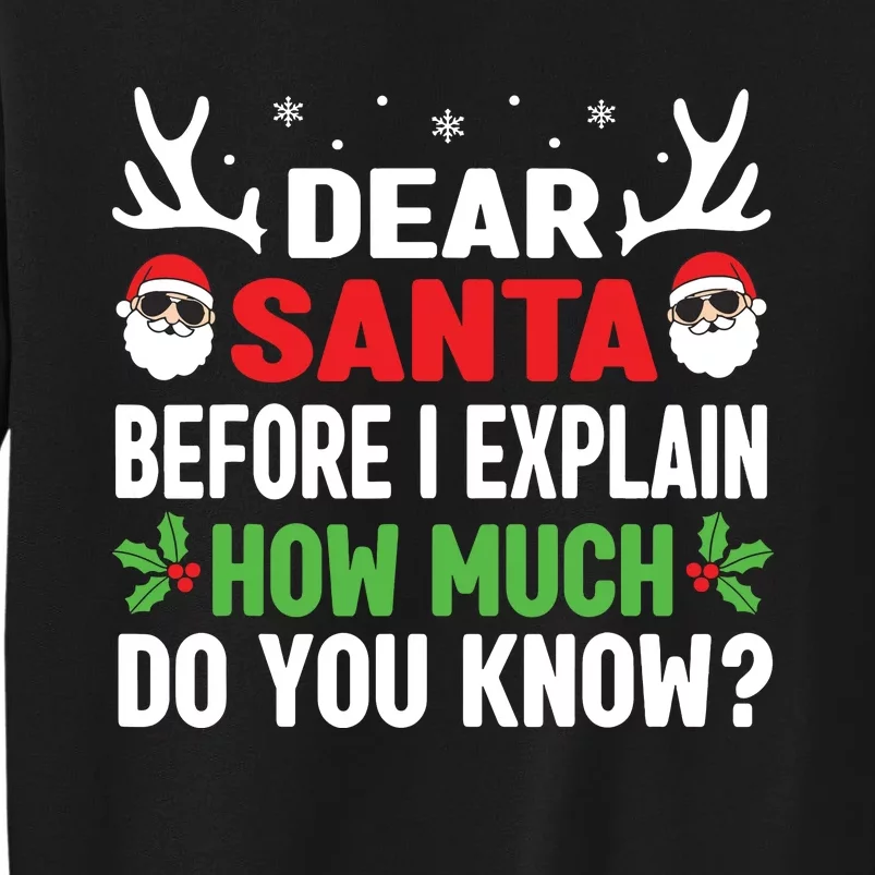 Funny Christmas Shirts Kids Adults Dear Santa I Can Explain Tall Sweatshirt