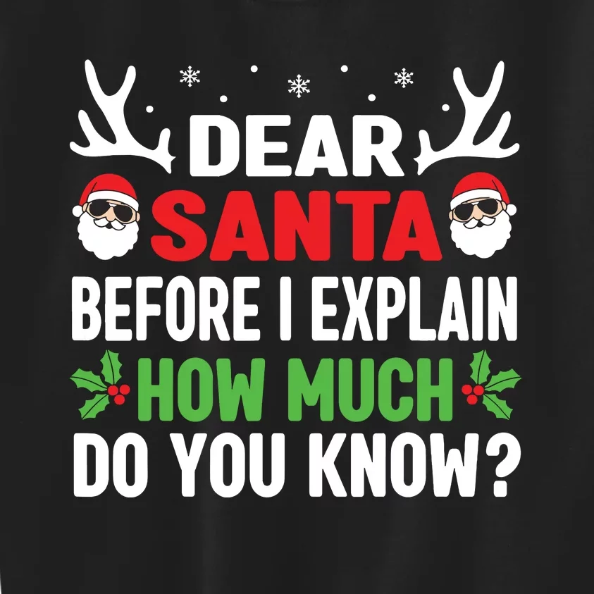 Funny Christmas Shirts Kids Adults Dear Santa I Can Explain Kids Sweatshirt