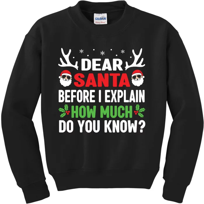 Funny Christmas Shirts Kids Adults Dear Santa I Can Explain Kids Sweatshirt