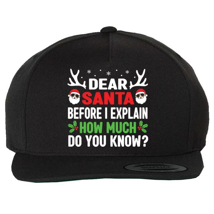 Funny Christmas Shirts Kids Adults Dear Santa I Can Explain Wool Snapback Cap