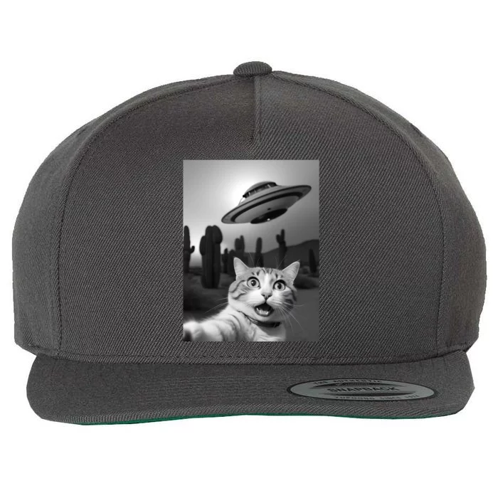 Funny Cat Selfie With A Ufo Wool Snapback Cap