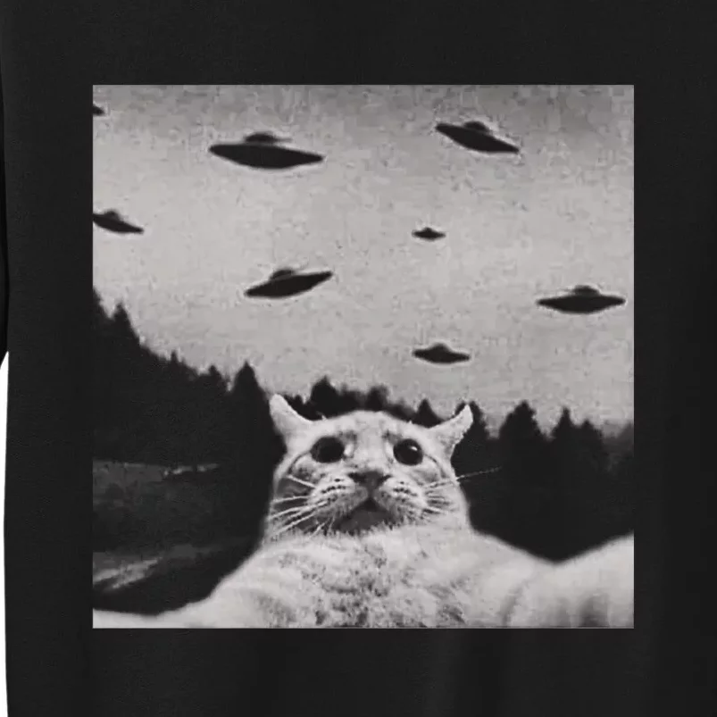 Funny Cat Selfie With Alien Ufos Funny Cat Lovers AlienS Ufo Sweatshirt