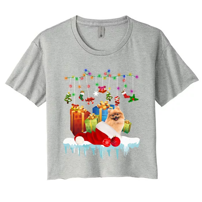 Funny Christmas Tree Pomeranian Lights And Funny Gift Dog Love Meaningful Gift Women's Crop Top Tee