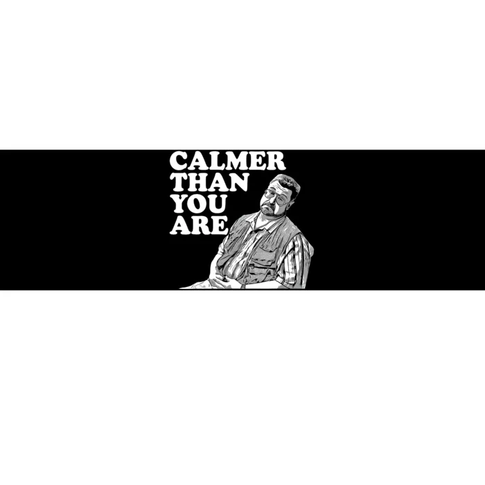 Funny Calmer Than You Are Bumper Sticker