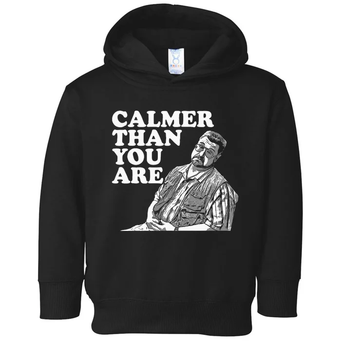 Funny Calmer Than You Are Toddler Hoodie