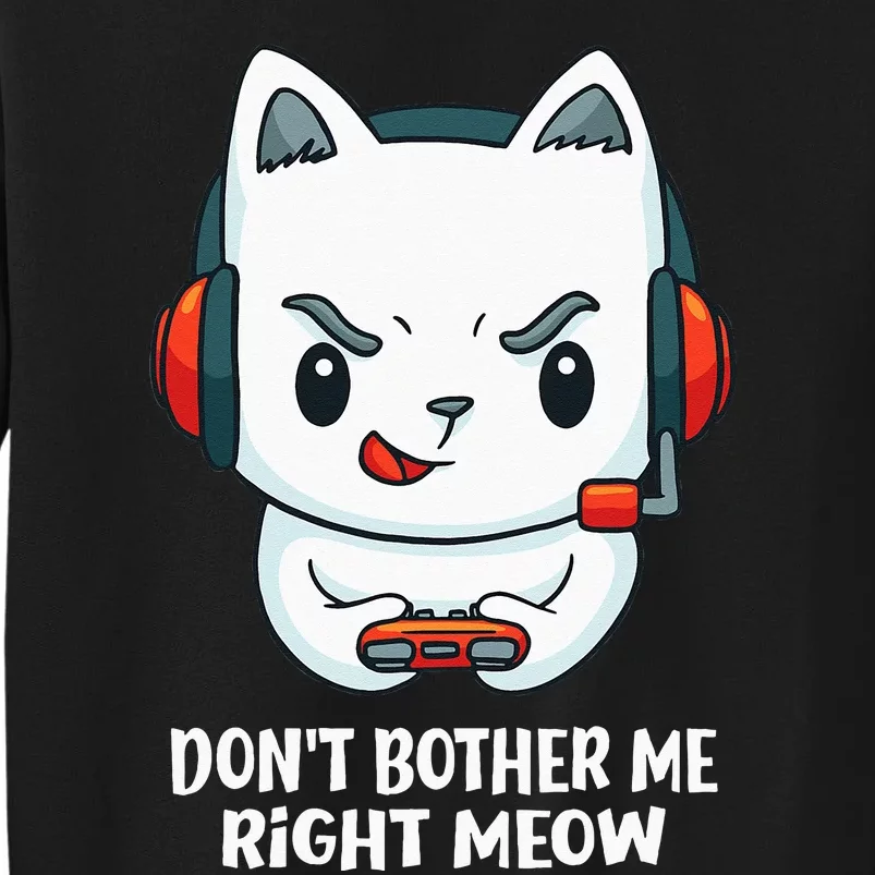 Funny Cat Video Gamer Dont Bother Me Right Meow Gits Sweatshirt