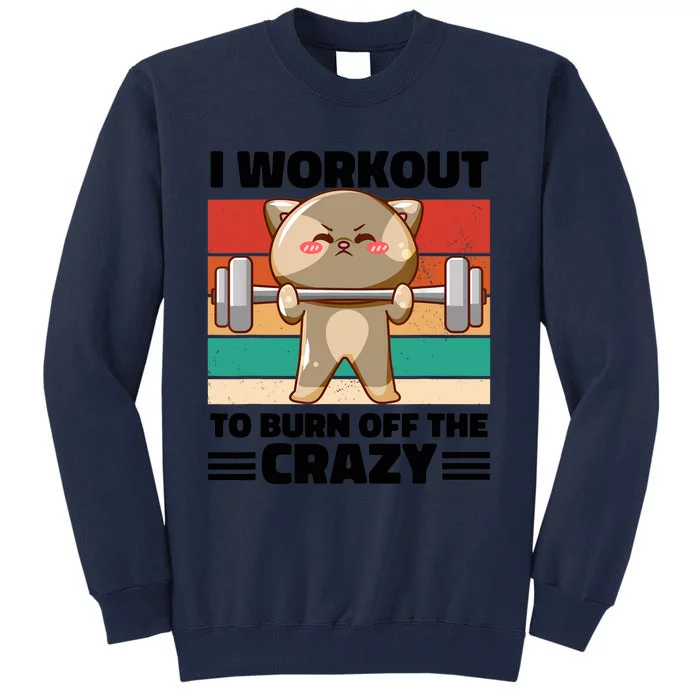 Funny Cat Workout Gym Retro Vintage Fitness Weightlifting Tall Sweatshirt