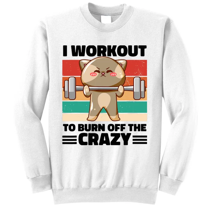 Funny Cat Workout Gym Retro Vintage Fitness Weightlifting Sweatshirt