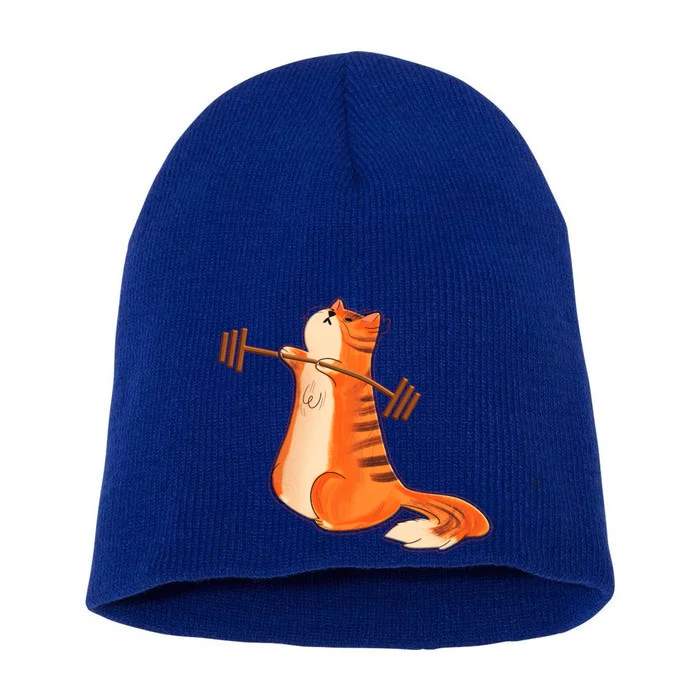 Funny Cat Weight Lifting Gift Gym Fitness Cat Lover Gift Funny Gift Short Acrylic Beanie