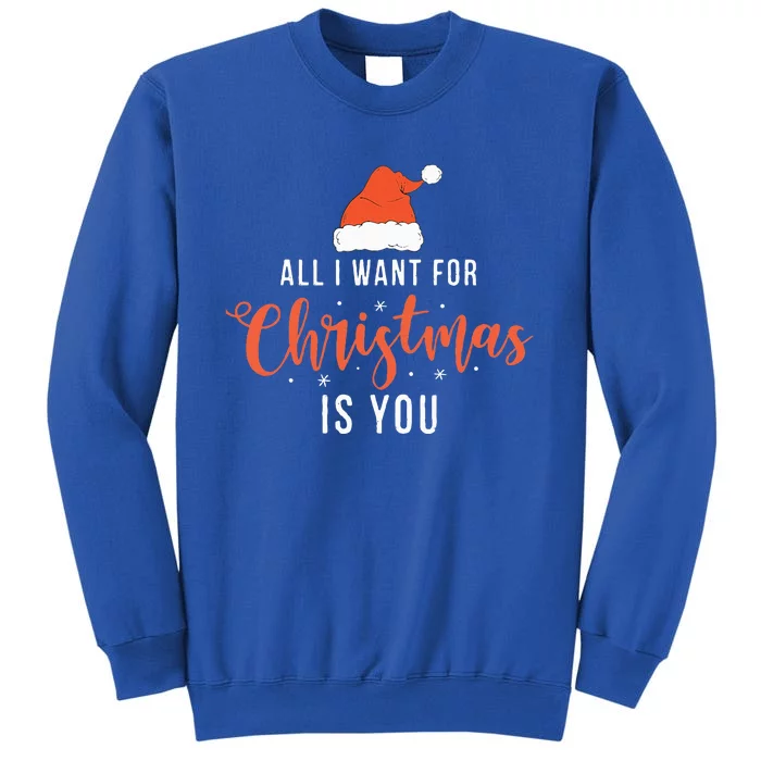 Funny Christmas Xmas Gift Idea Sweatshirt