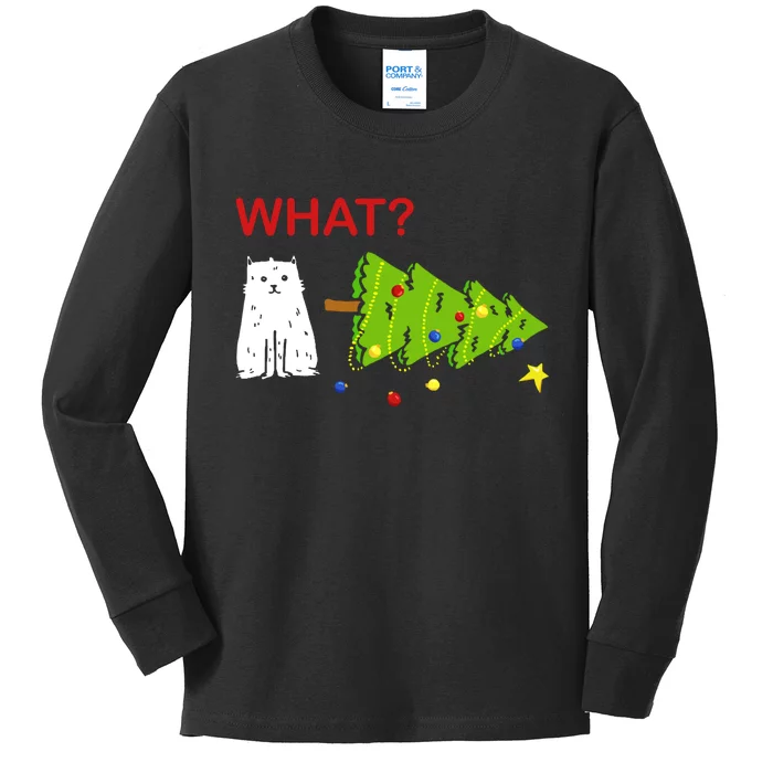 Funny Christmas XMas Cat What? Kids Long Sleeve Shirt