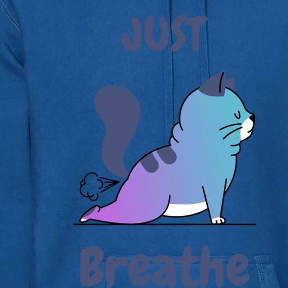 Funny Cat Yoga Just Breathe Cute Mediation Gift Premium Hoodie