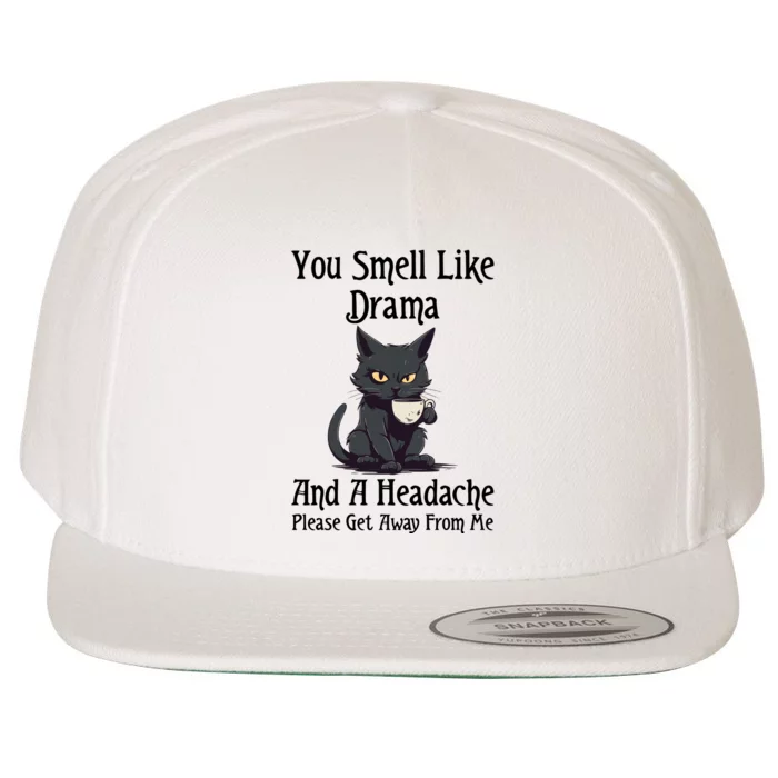 Funny Cat You Smell Like Drama And A Headache Wool Snapback Cap