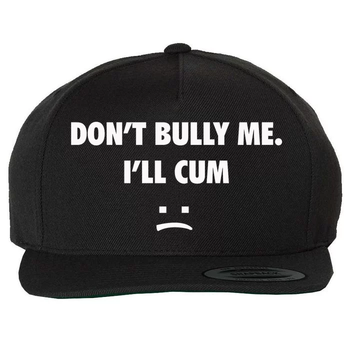 Funny Don’T Bully Me Wool Snapback Cap