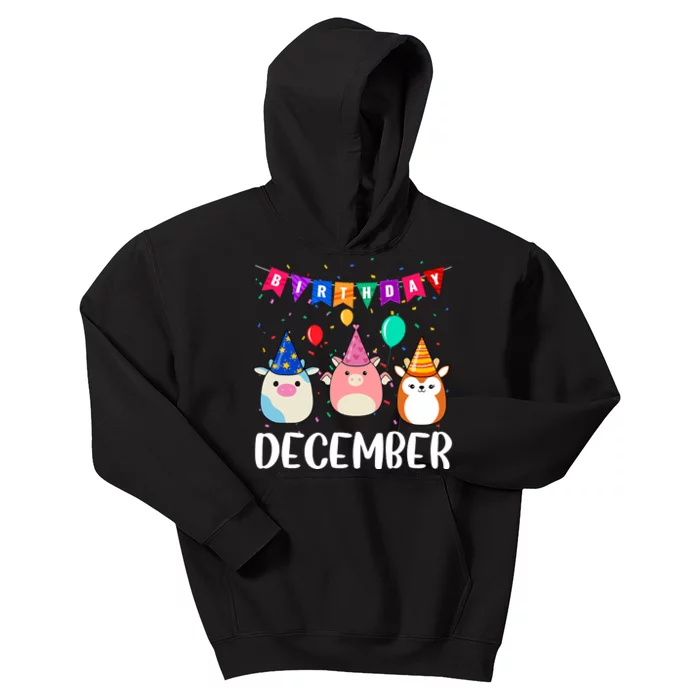 Funny December Birthday Kids Hoodie