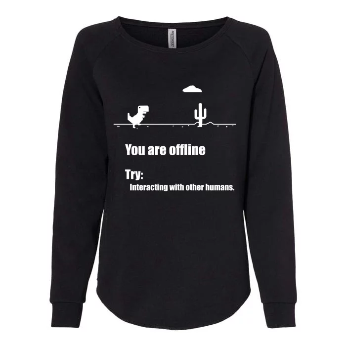 Funny Dinosaur Computer Design For Nerds, Geeks And Coder Womens California Wash Sweatshirt