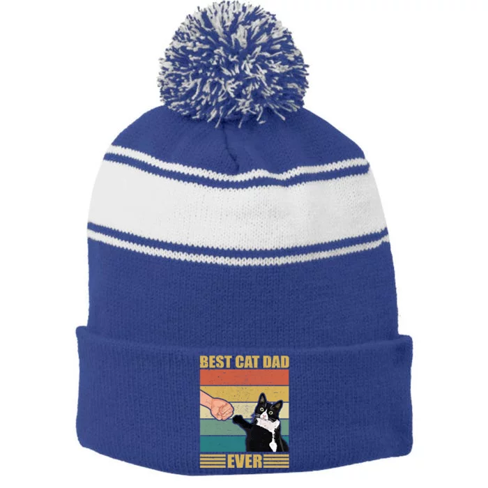 Fathers Day Cat Dad Funny Best Cat Dad Ever Gift Stripe Pom Pom Beanie