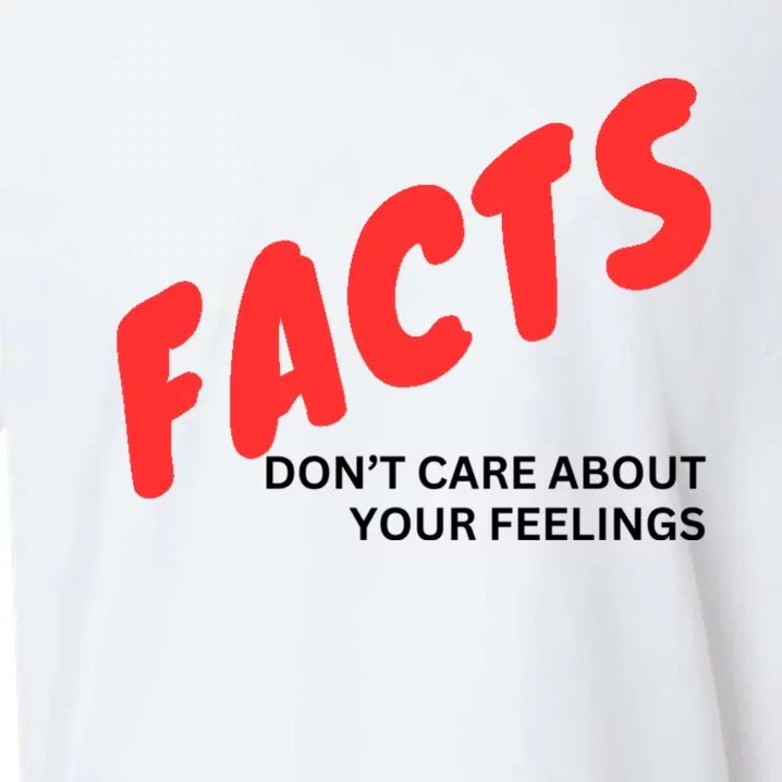 Facts DonT Care About Your Feelings Sueded Cloud Jersey T-Shirt