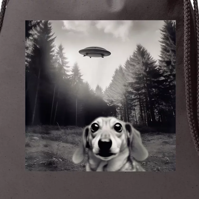 Funny Dachshund Dog Alien Ufo Gift Drawstring Bag