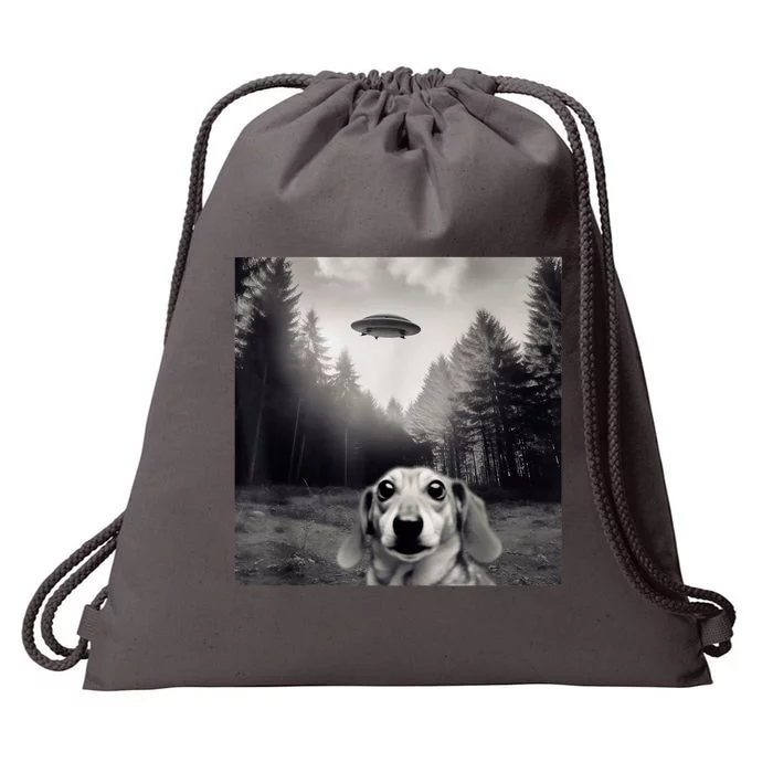 Funny Dachshund Dog Alien Ufo Gift Drawstring Bag