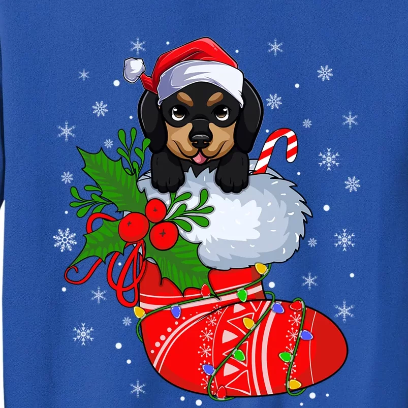 Funny Dachshund Dog In Christmas Socks Santa Dachshund Xmas Gift Sweatshirt