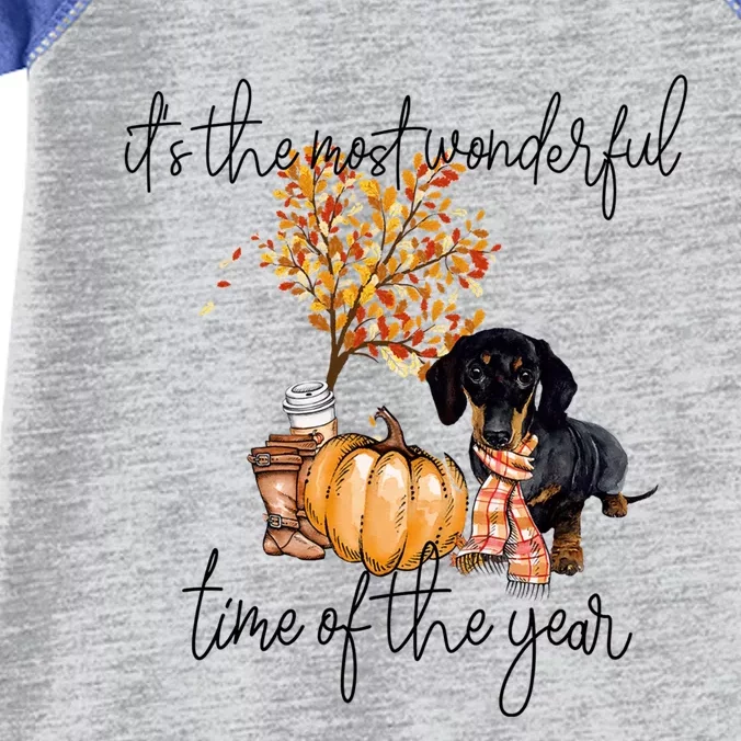 Funny Dachshund Fall Pumpkin Most Wonderful Time Of The Year Gift Infant Baby Jersey Bodysuit