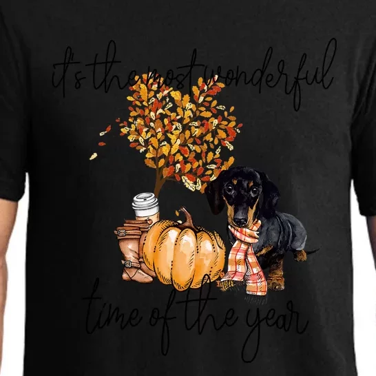 Funny Dachshund Fall Pumpkin Most Wonderful Time Of The Year Funny Gift Pajama Set