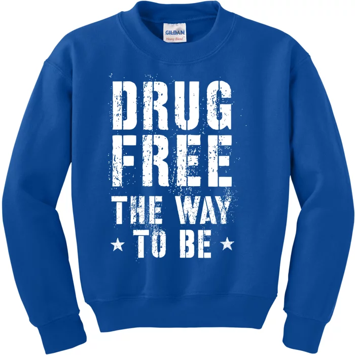 Funny Drug Free The Way To Be Clean Na Inspirational Funny Gift Kids Sweatshirt