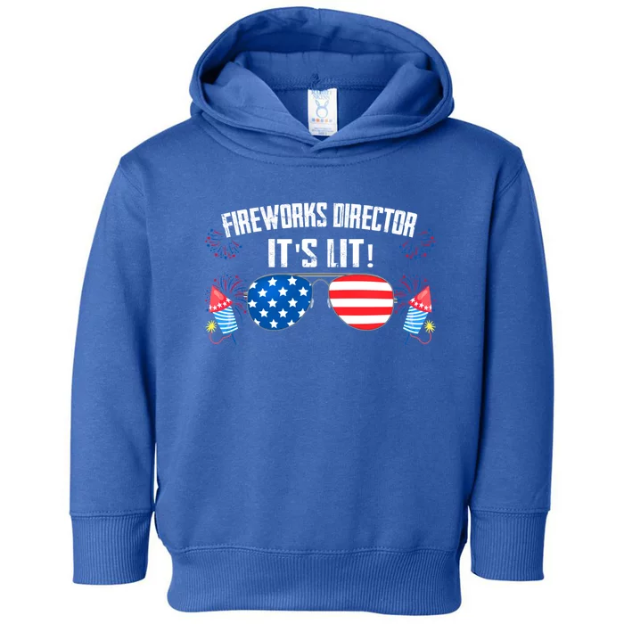 Fireworks Director Firework Director Funny Gift Toddler Hoodie