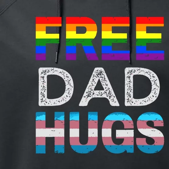 Free Dad Hugs Pride Month Proud Ally Performance Fleece Hoodie