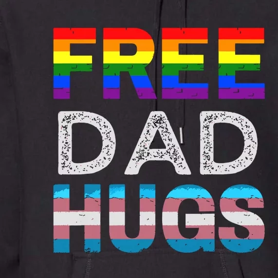 Free Dad Hugs Pride Month Proud Ally Premium Hoodie