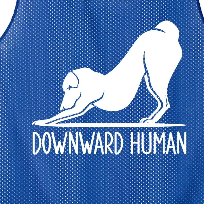 Funny Downward Hu Dog Yoga Design Cool Anime Print Cool Gift Mesh Reversible Basketball Jersey Tank