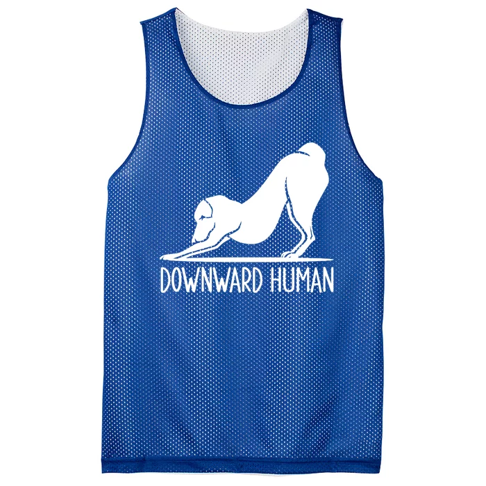 Funny Downward Hu Dog Yoga Design Cool Anime Print Cool Gift Mesh Reversible Basketball Jersey Tank