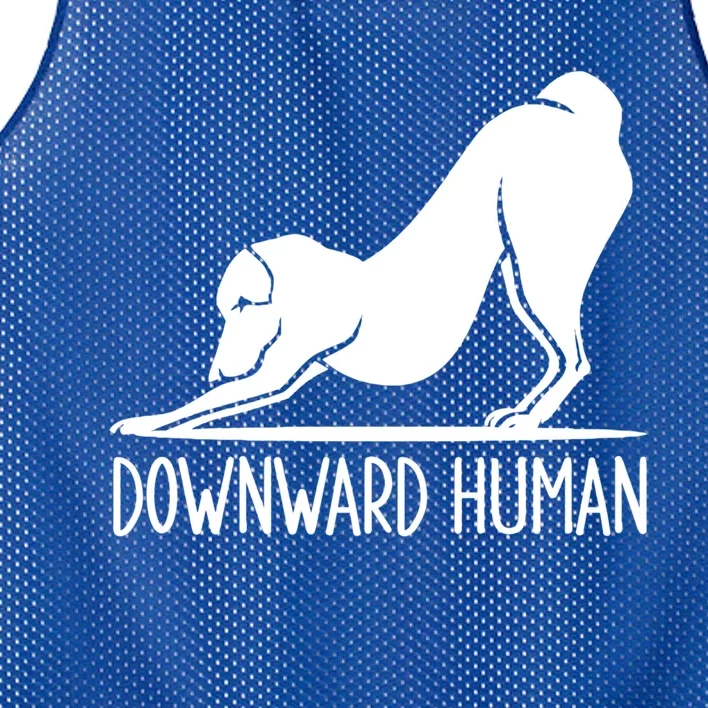 Funny Downward Hu Dog Yoga Design Cool Anime Print Gift Mesh Reversible Basketball Jersey Tank