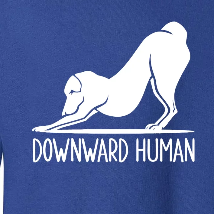 Funny Downward Hu Dog Yoga Design Cool Anime Print Gift Toddler Sweatshirt