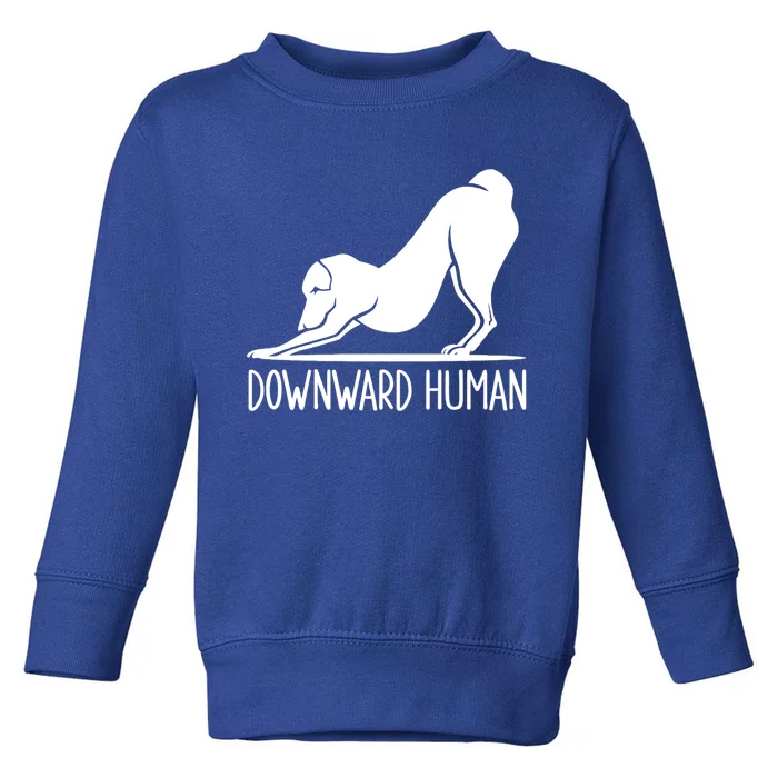 Funny Downward Hu Dog Yoga Design Cool Anime Print Gift Toddler Sweatshirt