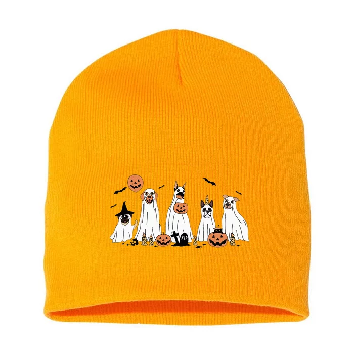 Funny Dog Halloween Trick Or Treat Boo Ghost Pumpkin Dogs Short Acrylic Beanie