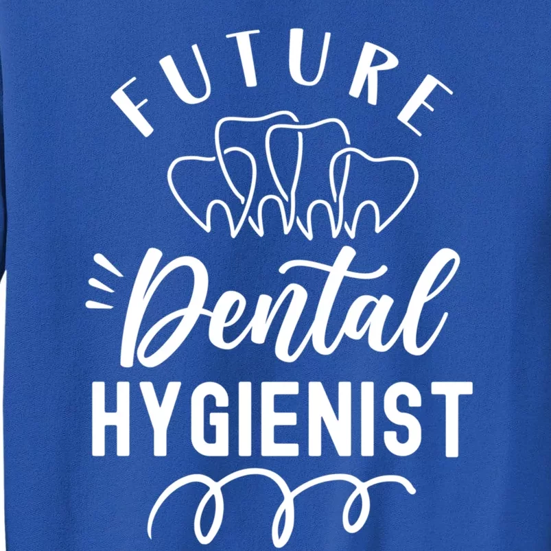 Future Dental Hygienist Clinic Dentist Hygiene Team Gift Tall Sweatshirt