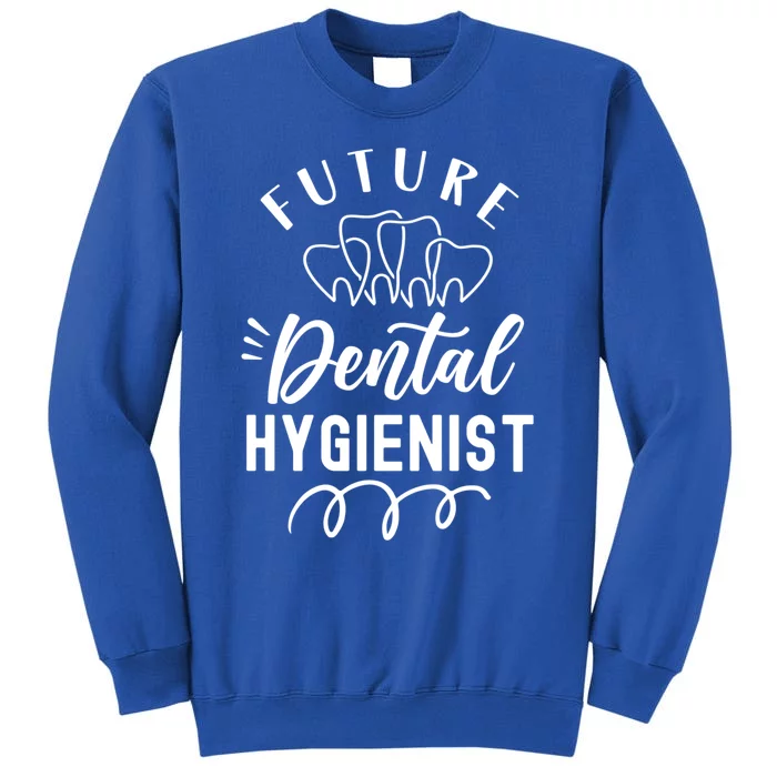 Future Dental Hygienist Clinic Dentist Hygiene Team Gift Tall Sweatshirt