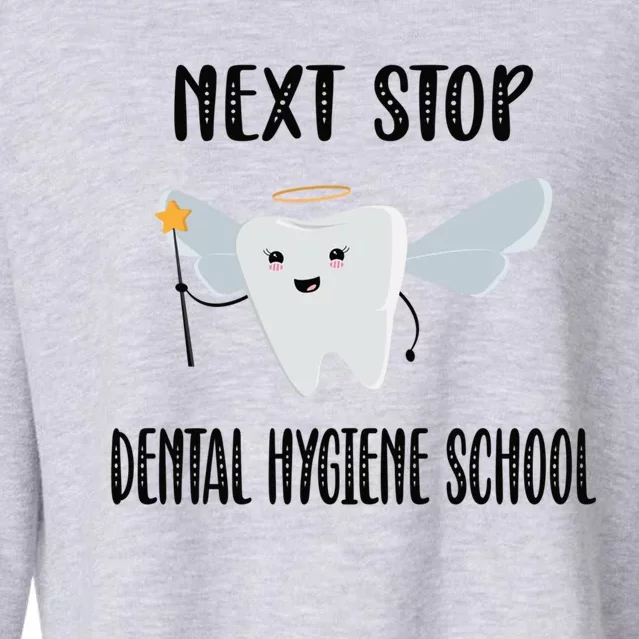 Future Dental Hygienist Dental Hygiene School Gift Cropped Pullover Crew