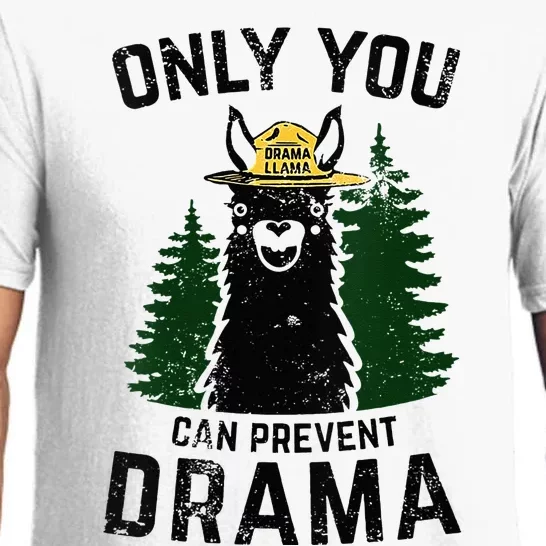 Funny Drama Llama Only You Can Prevent Drama Sarcastic Lover Pajama Set