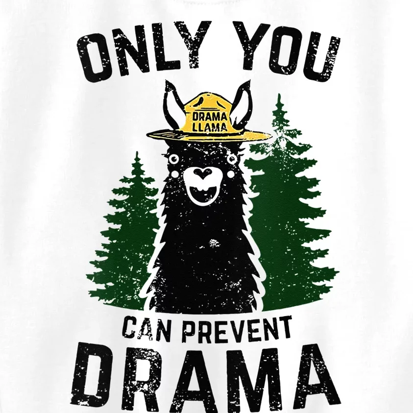 Funny Drama Llama Only You Can Prevent Drama Sarcastic Lover Kids Sweatshirt